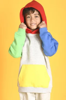 BRAZIL FLEECE HOODIE SWEATSHIRT - GREY