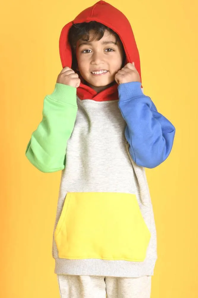 BRAZIL FLEECE HOODIE SWEATSHIRT - GREY