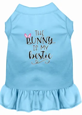 Bunny Is My Bestie Screen Print Dog Dress Baby Blue Xs (8)