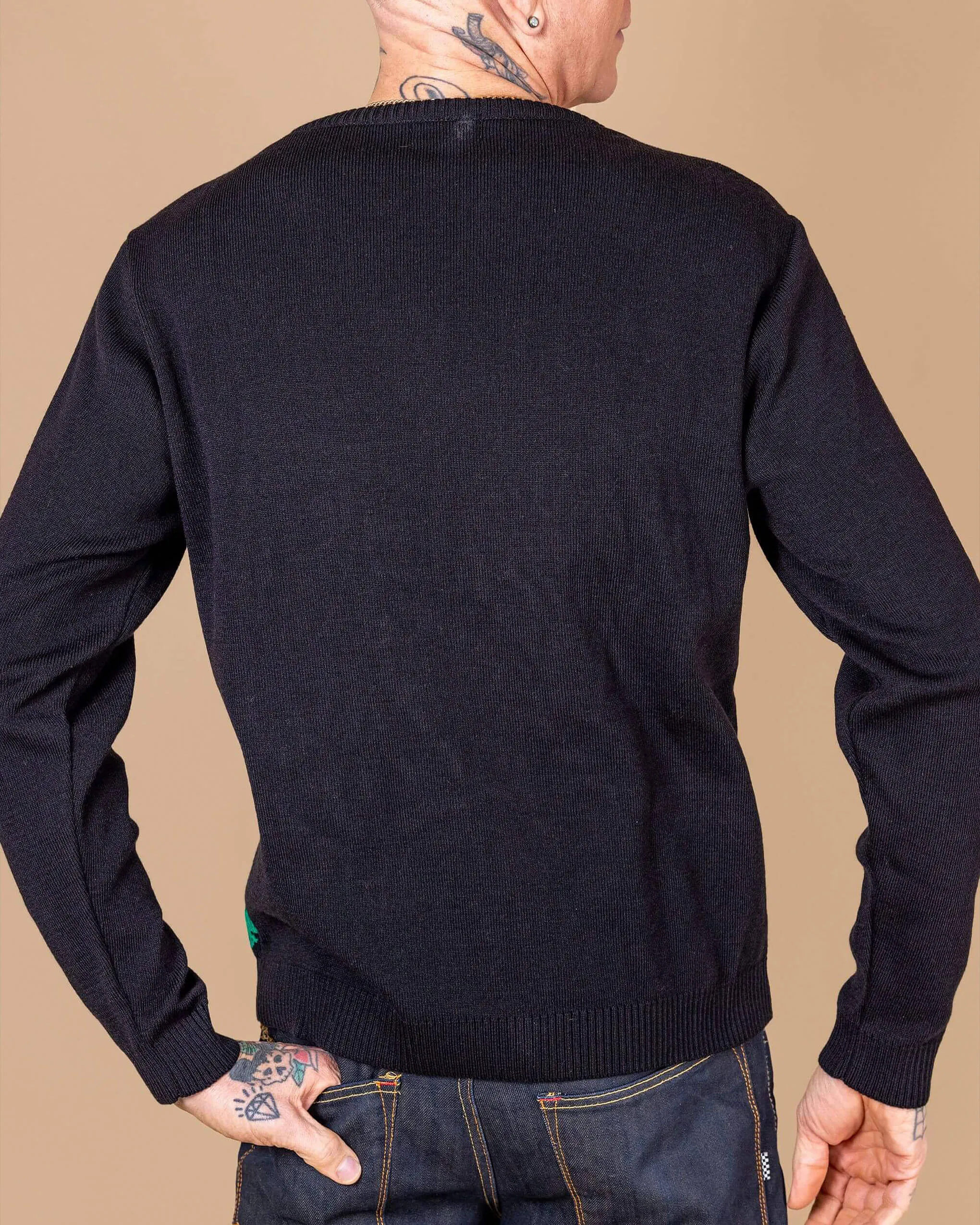 Frog Prince Jumper