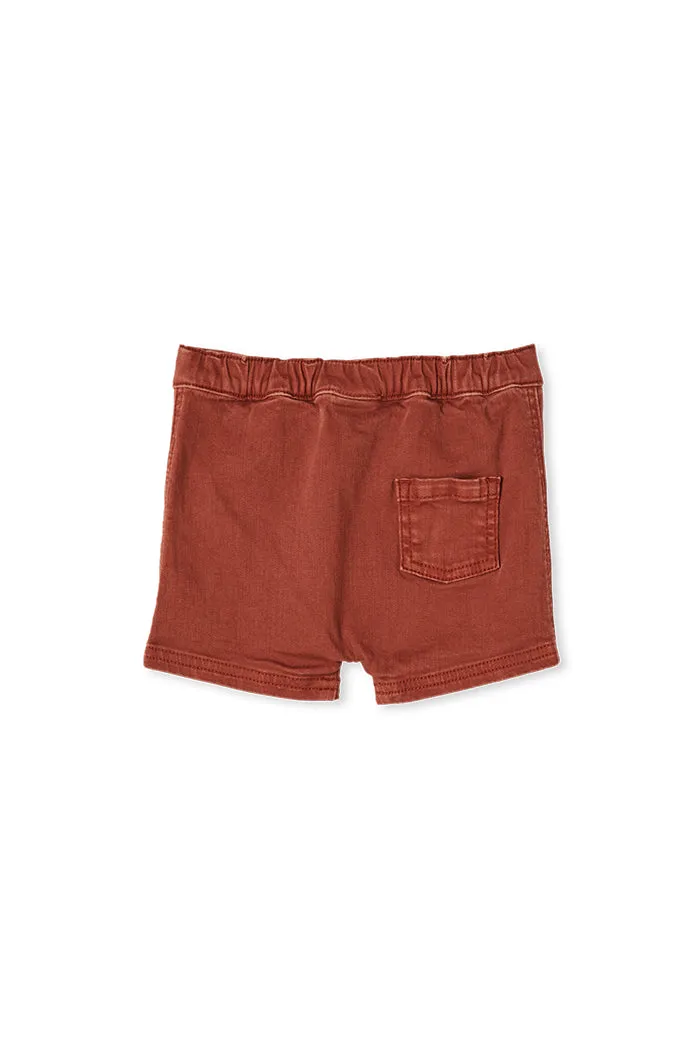 Milky Baby Copper Baby Chino