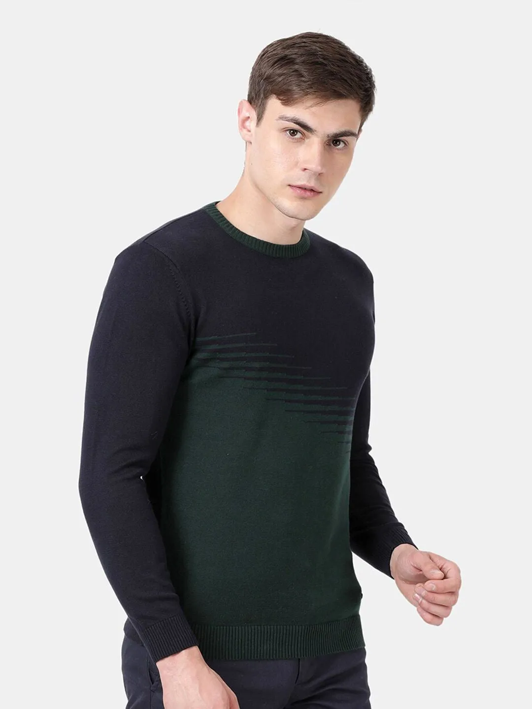 Round Neck Pine Full Sleeve Pullover