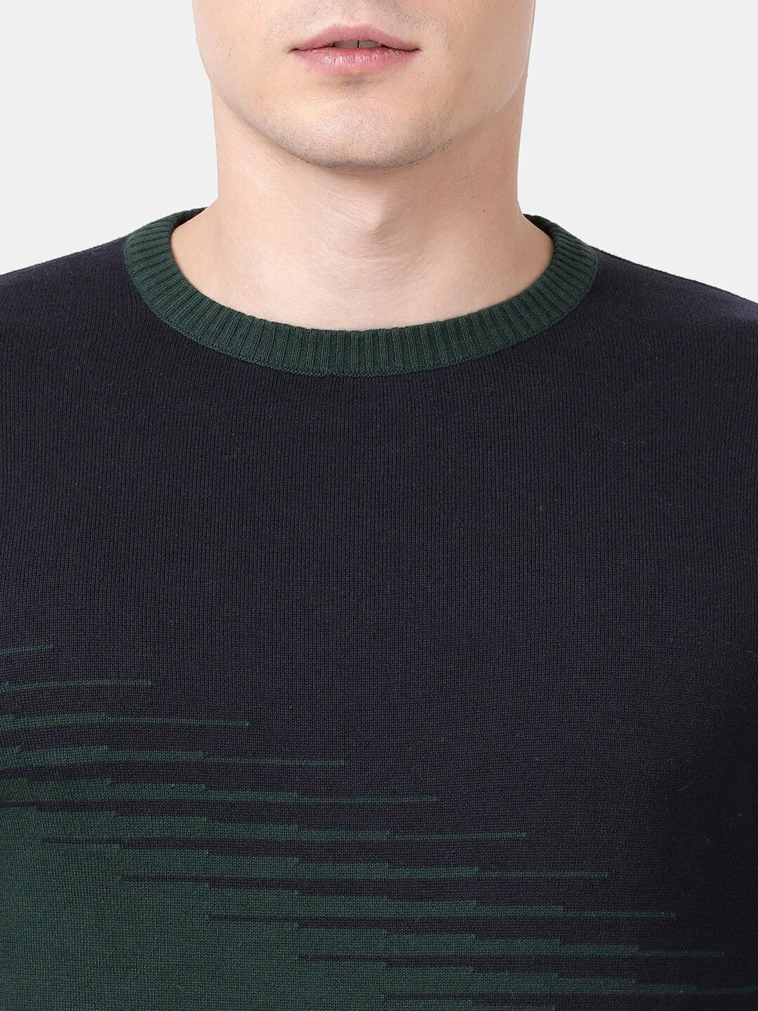 Round Neck Pine Full Sleeve Pullover