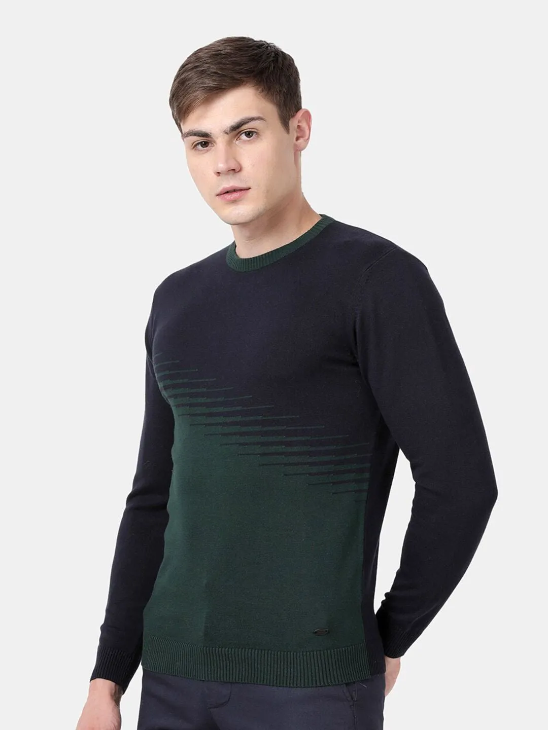 Round Neck Pine Full Sleeve Pullover