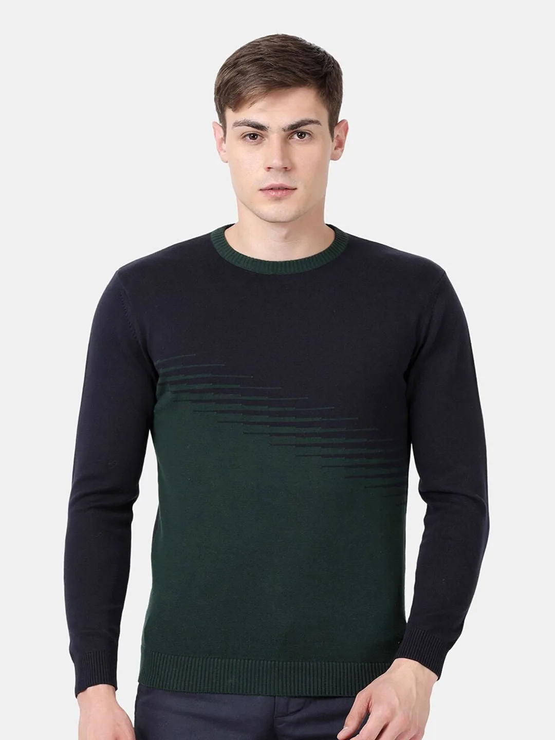 Round Neck Pine Full Sleeve Pullover